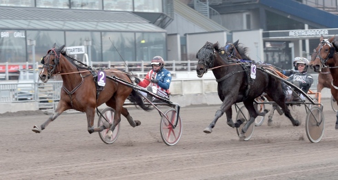 Teton Sweet Lindy jagar tredje raka segern på V75®. Foto av Lars Jakobsson TR Bild